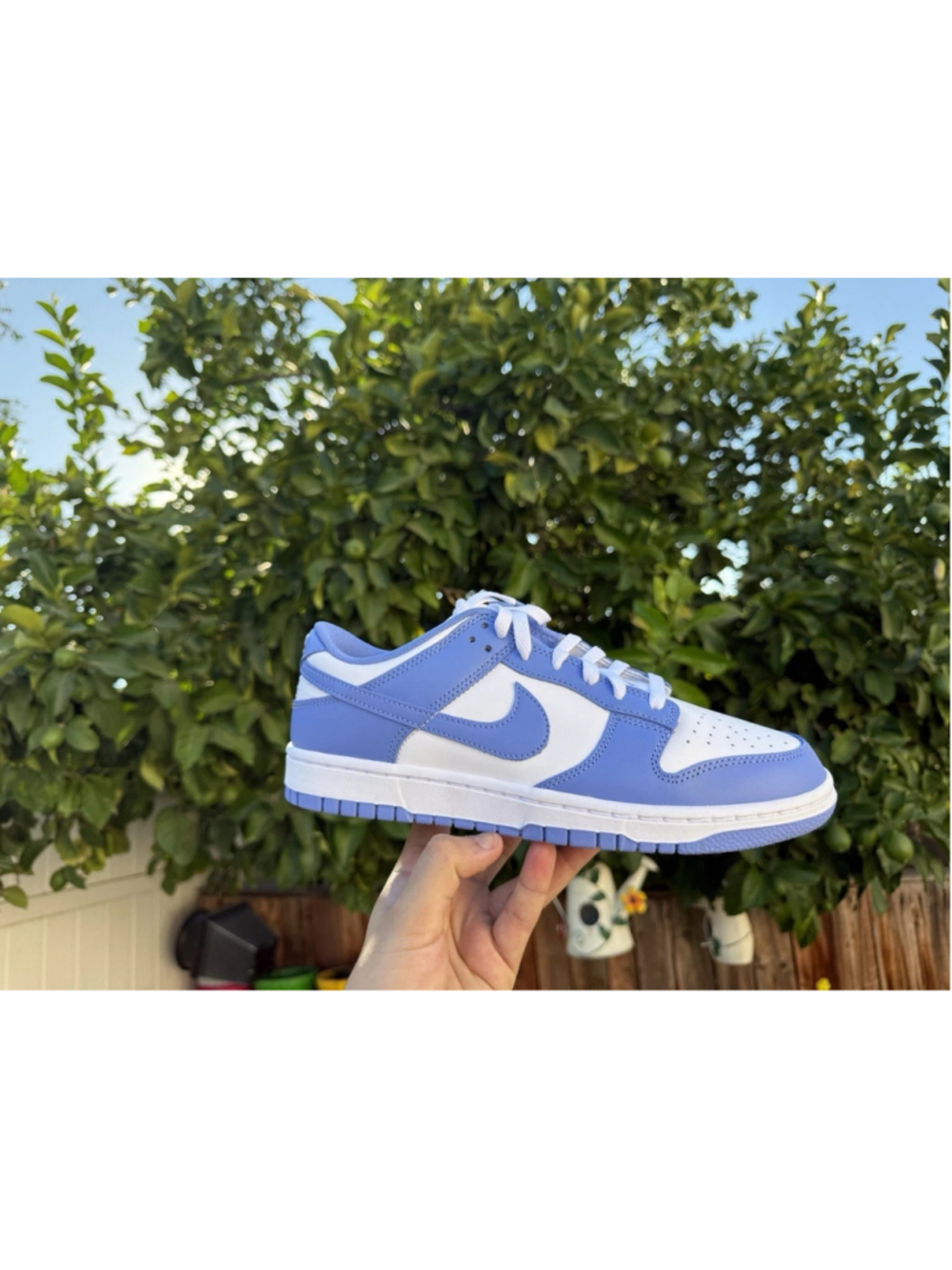 Nike Dunk Low- Polar Blue DV0833400